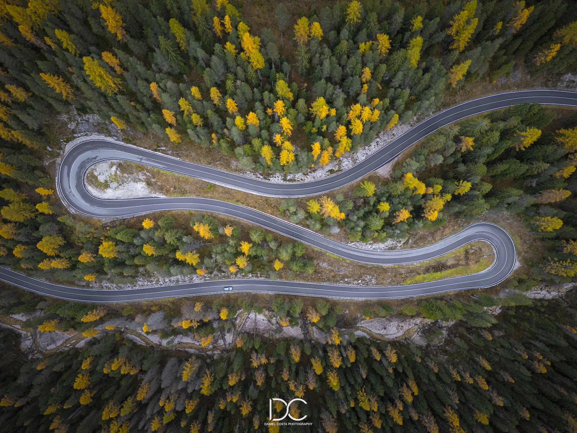 Road among the trees from above