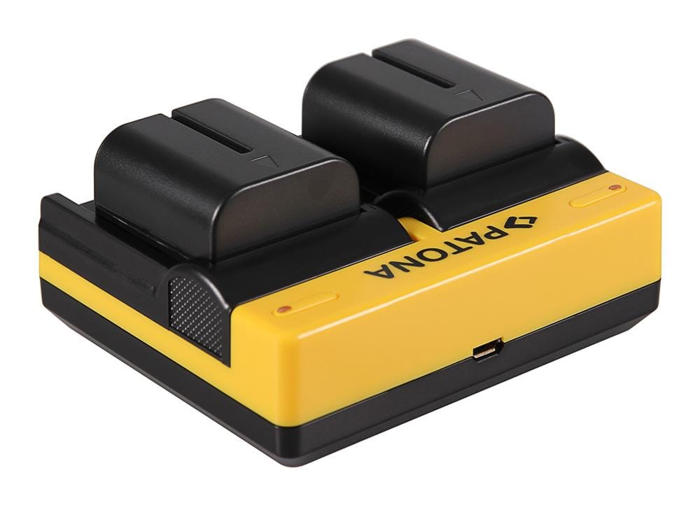 Caricatore Duale PATONA per JVC BN-VF707U D JVCD250 JVCD270 JVCD290 JVCD73AC JVCDF430 con cavo Micro-USB Caricatore Duale PATONA per JVC BN-VF707U D JVCD250 JVCD270 JVCD290 JVCD73AC JVCDF430 con cavo Micro-USB