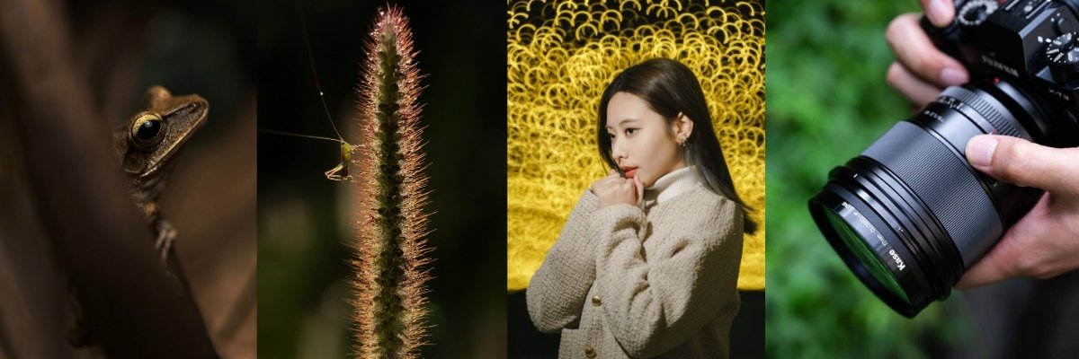 Lenses: reflex, portrait & more