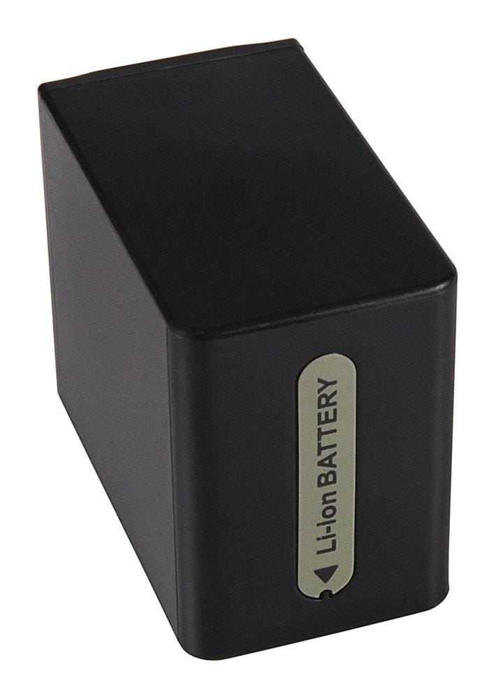 PATONA Batteria per Sony NP-FH100 NP-FP30 NP-FP50 NP-FP51 NP-FP60 NP-FP61 PATONA Batteria per Sony NP-FH100 NP-FP30 NP-FP50 NP-FP51 NP-FP60 NP-FP61