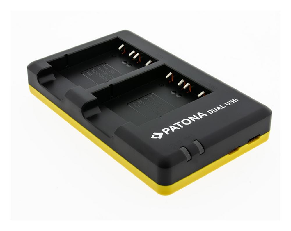 PATONA Carregador rápido dual para Sony NP-BG1 DSC H55 H70 com cabo USB-C