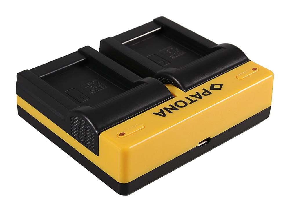 Caricatore Dual PATONA per Aiptek Ordro NP-170 084-07042L-062 AHD 2 AHD H23 CB-170 Ordro con Micro-USB Caricatore Dual PATONA per Aiptek Ordro NP-170 084-07042L-062 AHD 2 AHD H23 CB-170 Ordro con Micro-USB