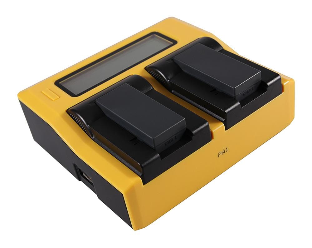 PATONA Caricatore Dual LCD USB per Sony NP-FC10 Cyber-shot Point & Shoot DSCP DSC-P DSCP10 DSC-P10