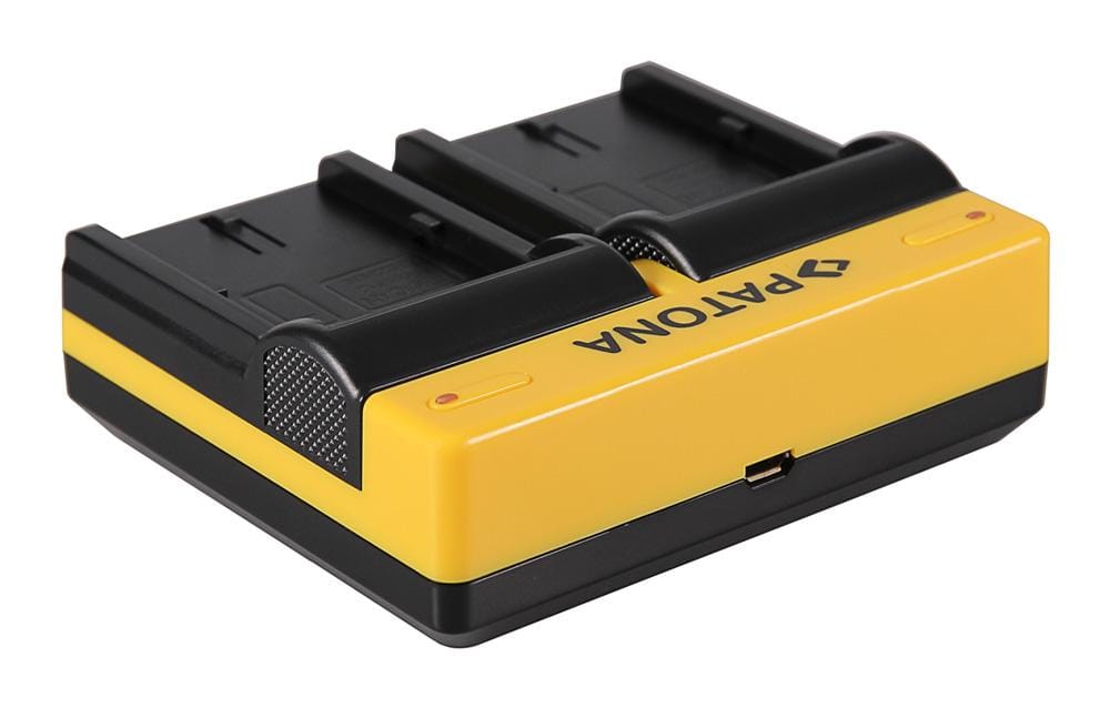 Caricatore Dual PATONA per Canon BP-511 EOS 650 10D 20D 20Da 300D 300D 40D CMV500 D30, incluso Micro-USB