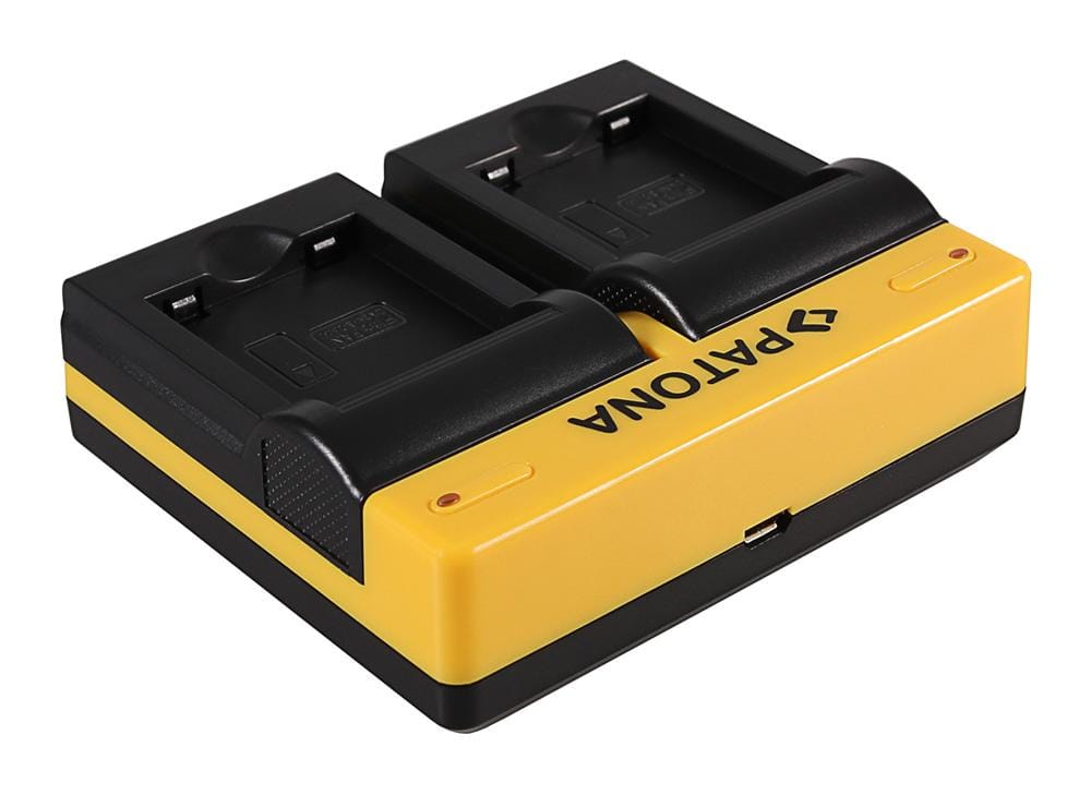 Caricatore Dual PATONA per Panasonic DMW-BCN10 Lumix DMCLF1 DMC-LF1 DMCLF1K DMC-LF1K con cavo Micro-USB